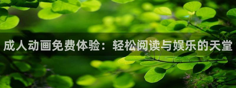 age动漫网：成人动画免费体验：轻松阅读与娱乐的天堂