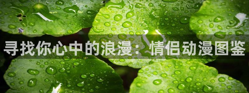 age动漫专注动漫的门户网站：寻找你心中的浪漫：情侣动漫图鉴