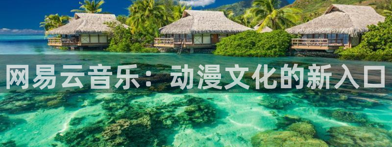 managereader漫画官网入口：网易云音乐：动漫文化的新入口
