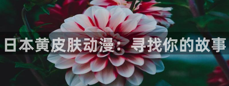 age动漫专注动漫的门户网站：日本黄皮肤动漫：寻找你的故事