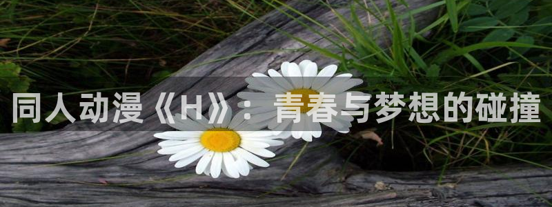 age动漫官网入口老版本：同人动漫《H》：青春与梦想的碰撞