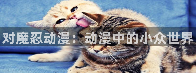 age动漫官网在线入口：对魔忍动漫：动漫中的小众世界