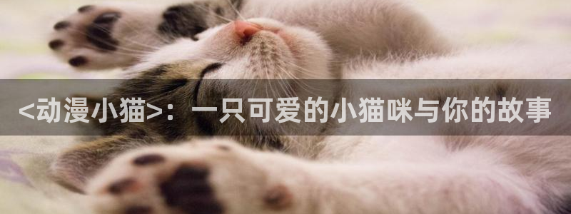 colomanage漫画官网：<动漫小猫>：一只可爱的小猫咪与你的故事