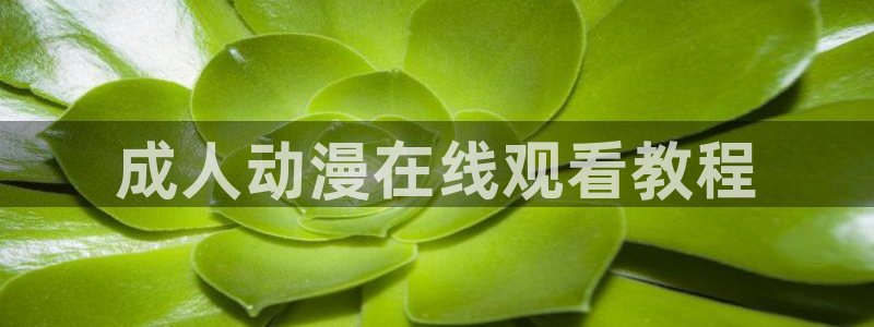 age动漫专注动漫的门户网站：成人动漫在线观看教程