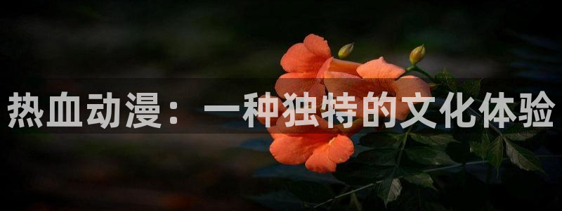 age动漫专注动漫的门户网站：热血动漫：一种独特的文化体验