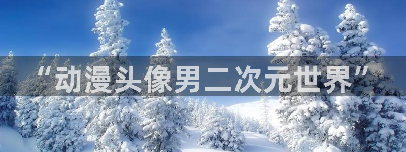 age动漫官网在线入口：“动漫头像男二次元世界”