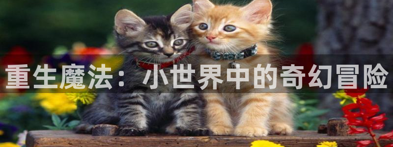 colamanage漫画：重生魔法：小世界中的奇幻冒险