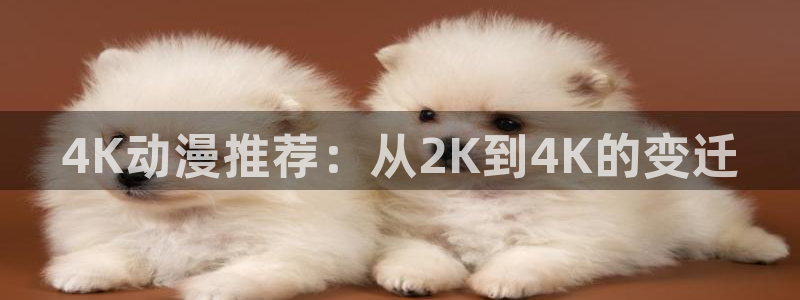 age专注动漫的门户网站：4K动漫推荐：从2K到4K的变迁
