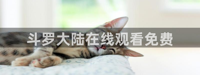 age专注动漫的门户网站：斗罗大陆在线观看免费