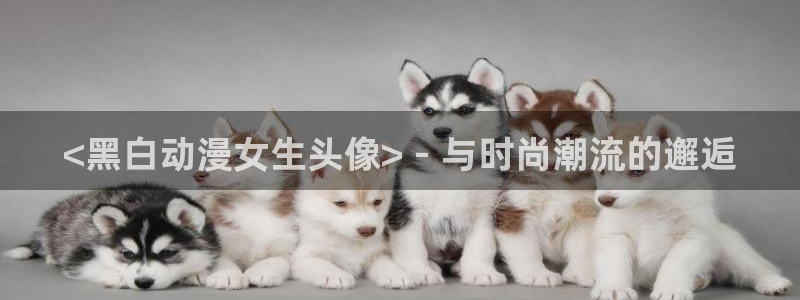 age动漫正版网：<黑白动漫女生头像> - 与时尚潮流的邂逅