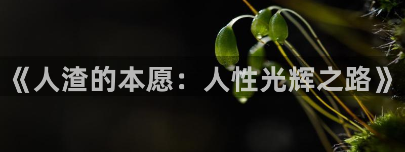 colamanage漫画下载：《人渣的本愿：人性光辉之路》