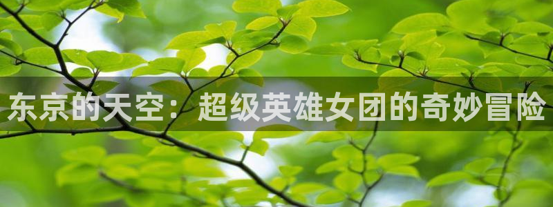 age樱花动漫：东京的天空：超级英雄女团的奇妙冒险