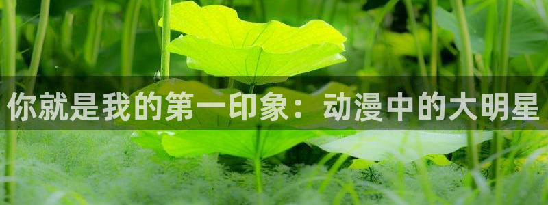 age动漫网官网入口：你就是我的第一印象：动漫中的大明星